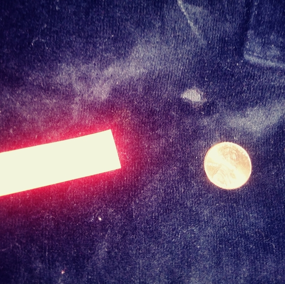 BCBG Velour Pants - Picture 16 of 16